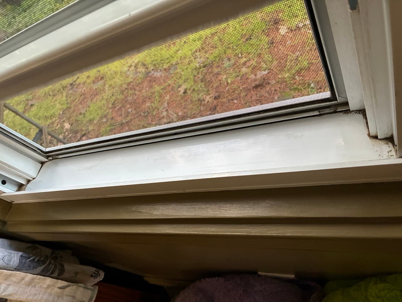 After window cleaning photo 7