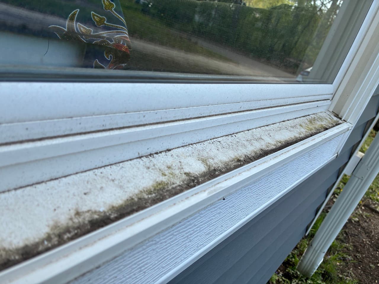 Before window cleaning photo 10