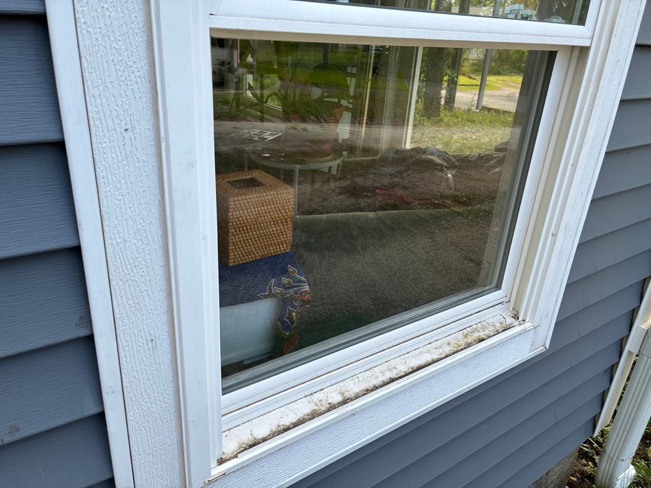 Before window cleaning photo 9